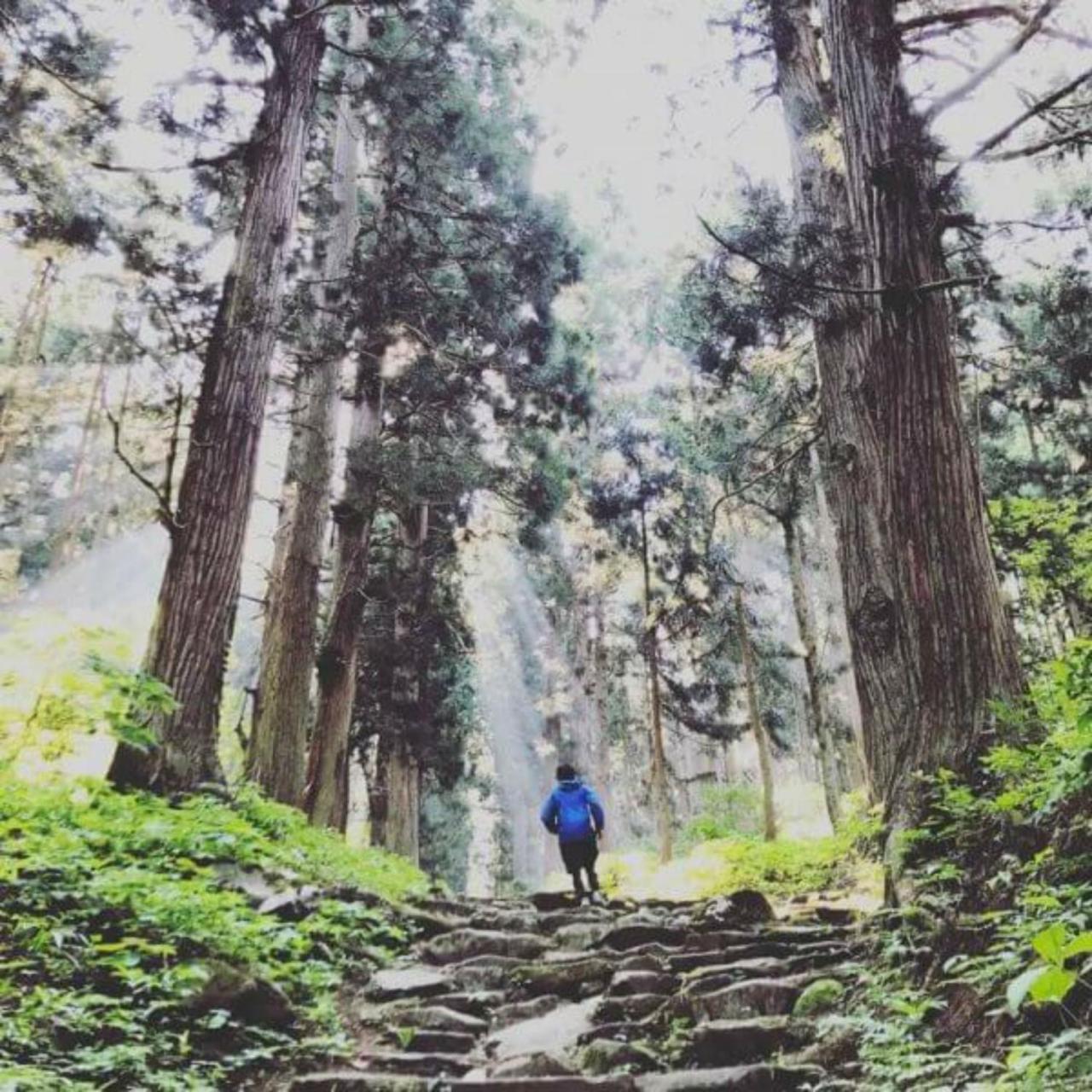 Lodge Nagano Nozawaonsen Esterno foto